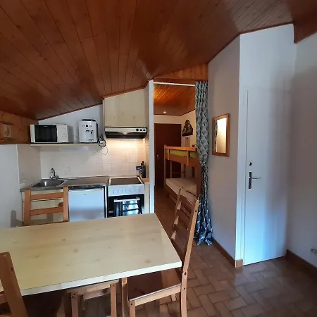 Charmant Studio Au Coeur De Avec Multi Pass Offert! - Fr-1-693-92 * Châtel