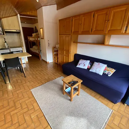 Apartamento Charmant Studio Au Coeur De Avec Multi Pass Offert! - Fr-1-693-92 Châtel