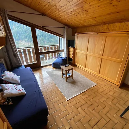 Charmant Studio Au Coeur De Avec Multi Pass Offert! - Fr-1-693-92 Châtel