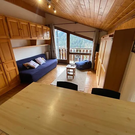 Apartamento Charmant Studio Au Coeur De Avec Multi Pass Offert! - Fr-1-693-92 *