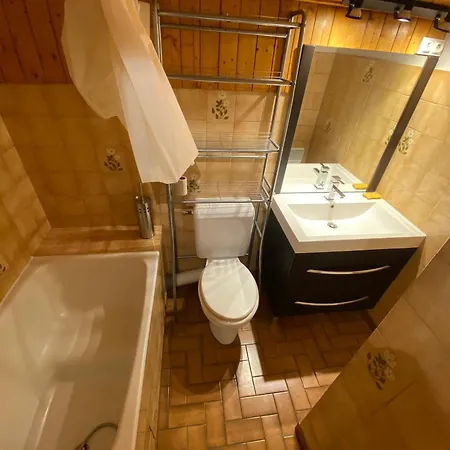 Charmant Studio Au Coeur De Avec Multi Pass Offert! - Fr-1-693-92 *